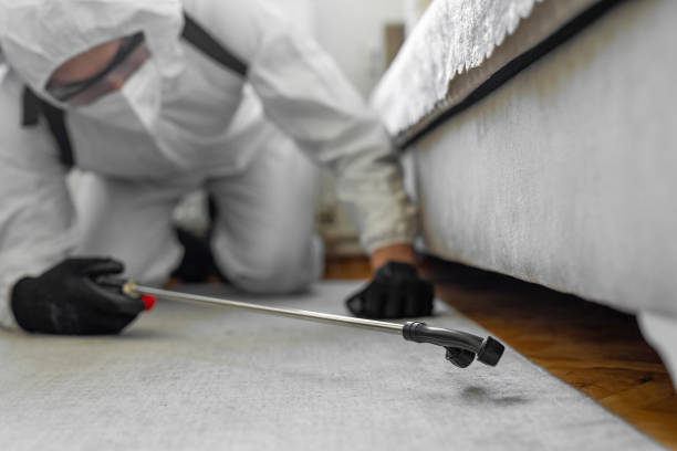 Professional Bed Bug Control technician working in New Albany, IN