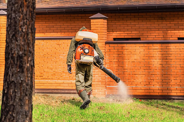 Trusted Bed Bug Control service in New Albany, IN - Nex Pest Control